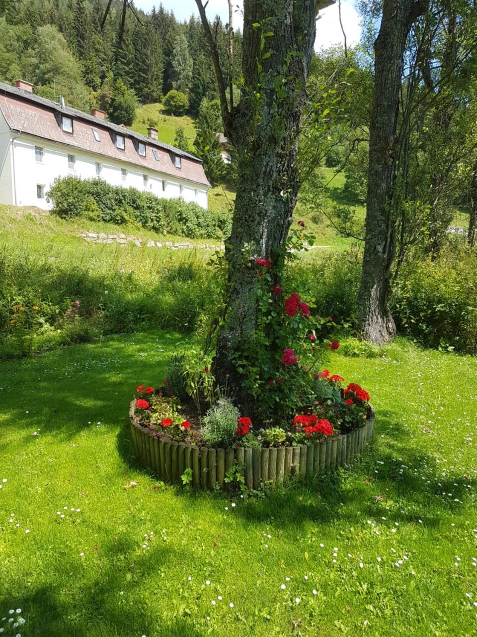 Riverside Ski Apartment Ramingstein Luaran gambar